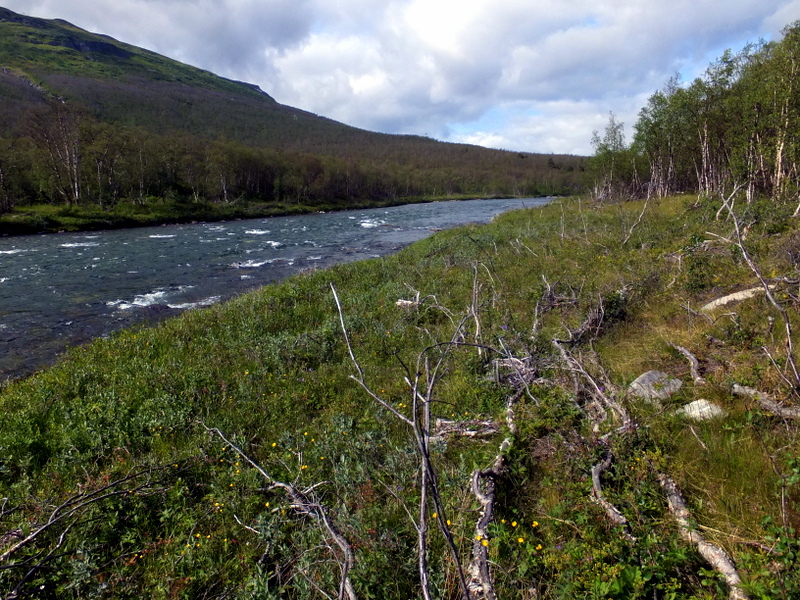 Národní park Abisko Národní park Abisko